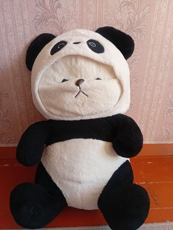 Panda va ayiqcha(ikkalasi bittada) — 1