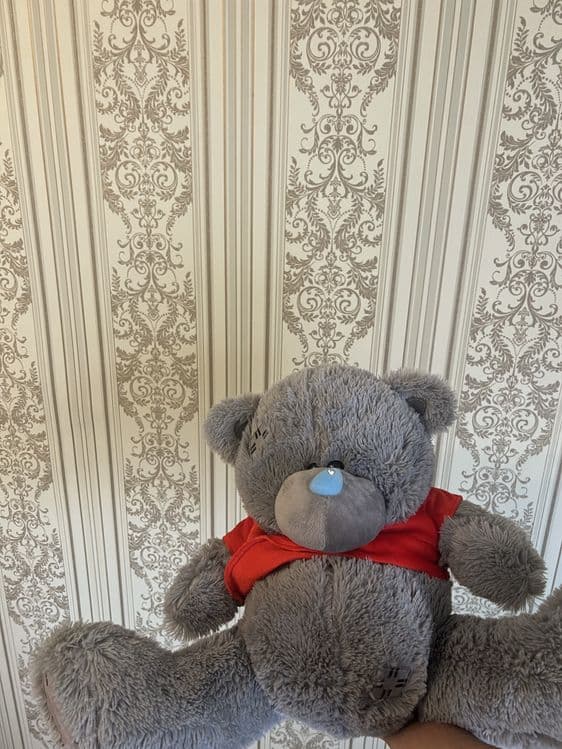Ayiqchalar(stich,teddy,kapshonkali) buket kapakek buket mandarin buket — 6