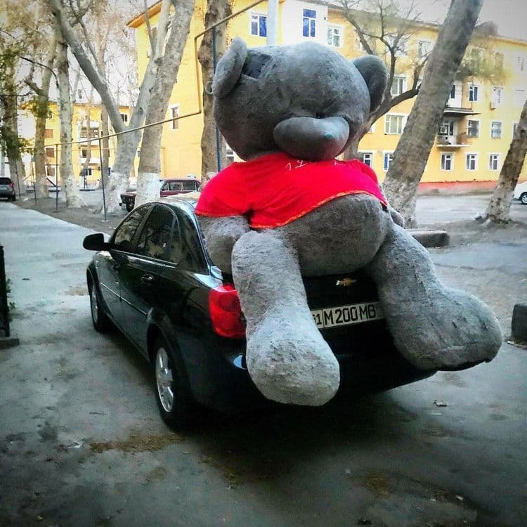 Teddi Teddiy supper skidka Hamma razmer bor — 6