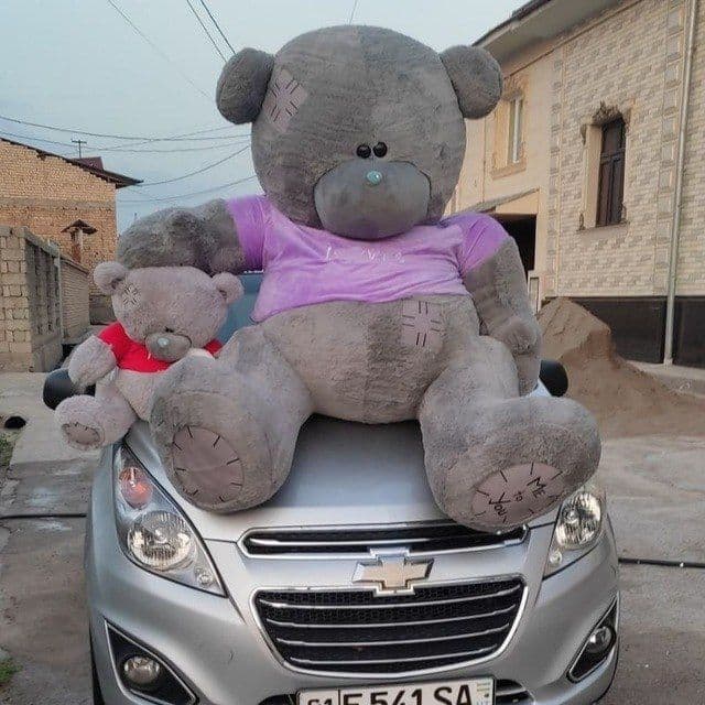 Teddi Teddiy supper skidka Hamma razmer bor — 8