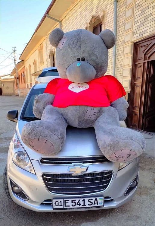 Teddy ayiqchalari Yumshoq o'yinchoqlar  | Мишки Тедди Игрушки — 4