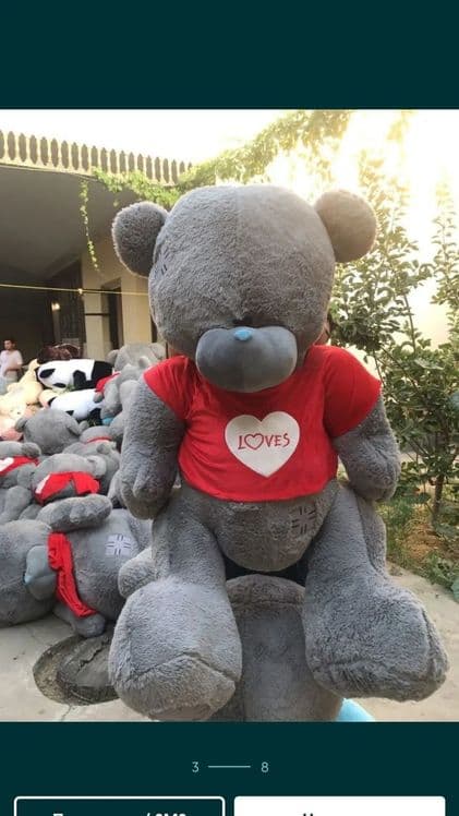 Teddy Тедди 30 sm dan 3 metrgacha — 6