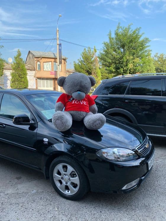 Teddy Teddi Teddiy самим низким ценам — 2