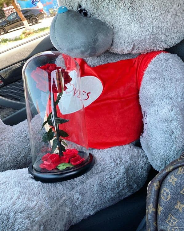 Teddy Teddi Teddiy самим низким ценам — 3