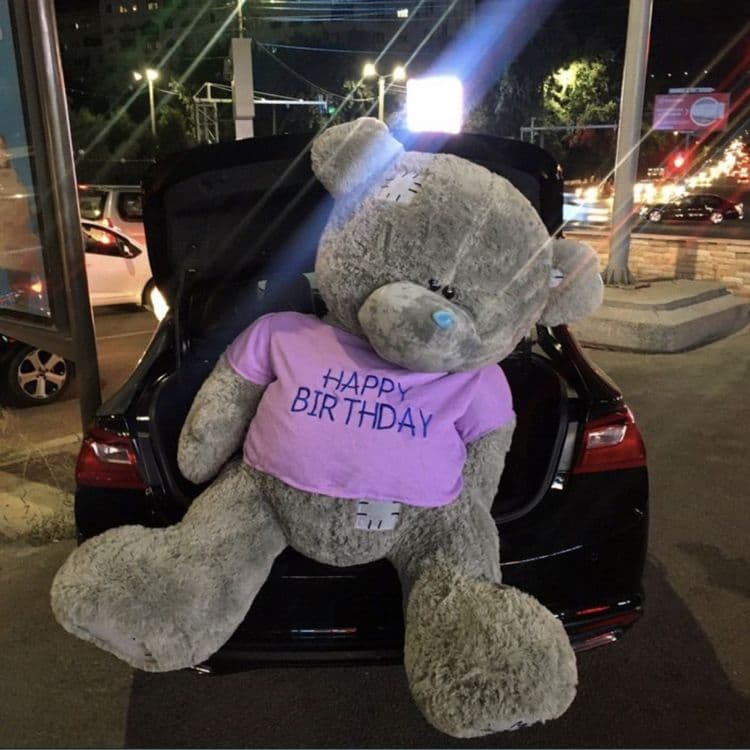 teddy va yumshoq oyinchoqlar — 2