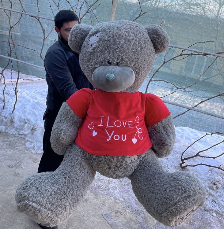 teddy va yumshoq oyinchoqlar — 3