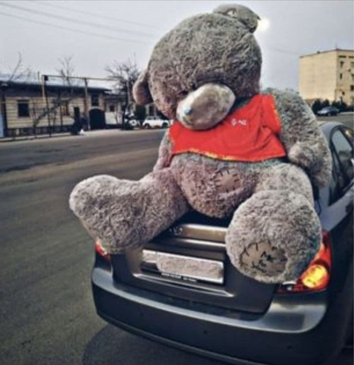 teddy va yumshoq oyinchoqlar — 7