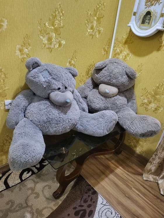 Teddy kotta 250 mindan — 2