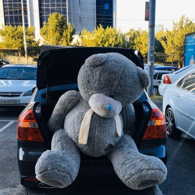 Teddi Teddy Teddiy supper sale % — 2