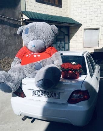 Teddi Teddy Teddiy supper sale % — 3