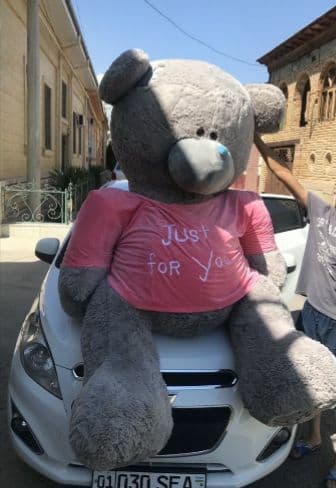 Teddi Teddy Teddiy supper sale % — 4