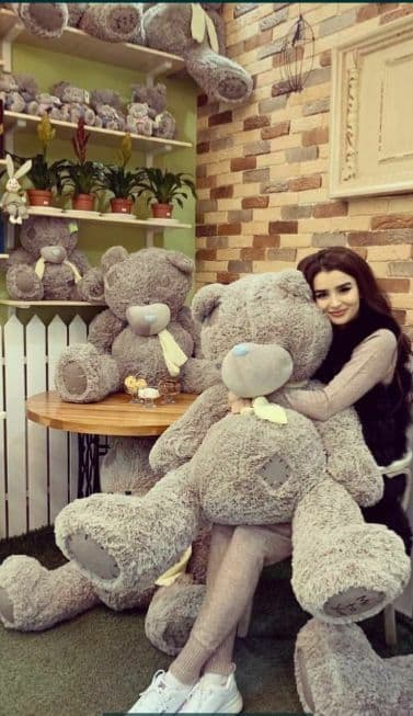 Teddi Teddy Teddiy supper sale % — 5