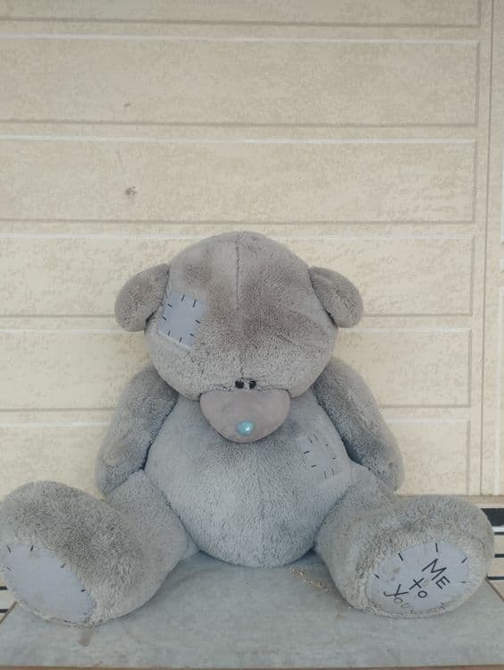 Teddy ayiq sotiladi — 1