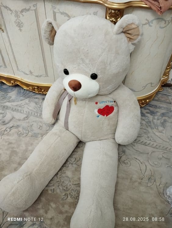 Teddy ayiq sotlad — 1