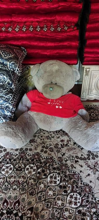 Yumshoq oʻyinchoq teddy ayigʻi — 2