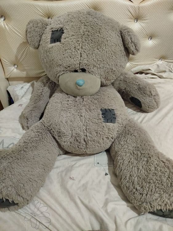 Teddy ayiq kottasimas o'rtachasi kelib korib opketaslar — 1