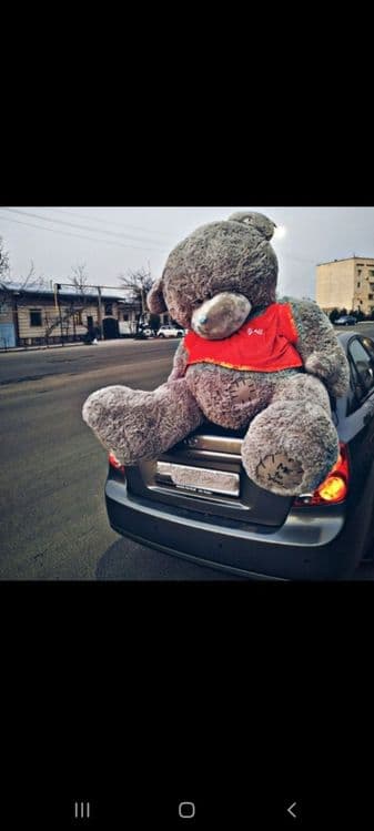 Teddy orginal 20% SKIDKAA — 7