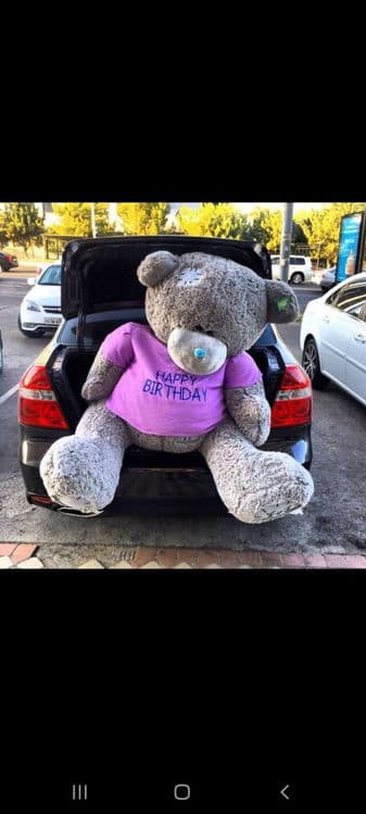 Teddy orginal 20% SKIDKAA — 8