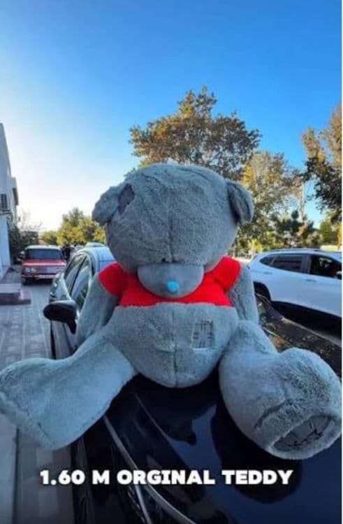 Тедди Teddi Tedi 1oo% (original yumshoq)30sm 3m narxi ozgaradi) — 2