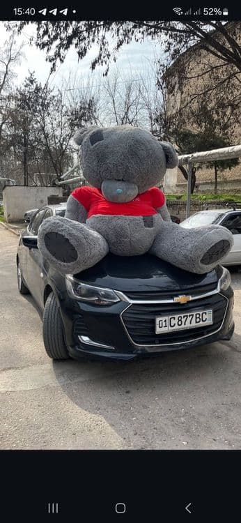 Teddi Тедди yumshoq oyinchiqlar — 2
