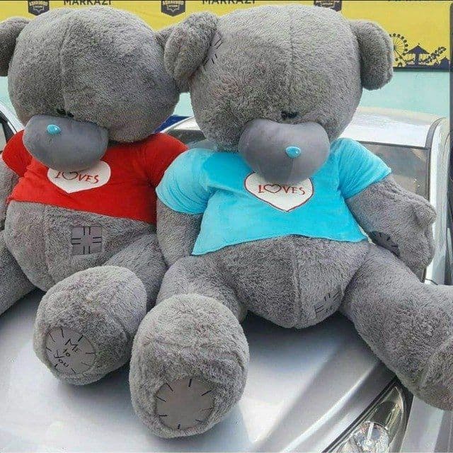 Teddy yumshoq o'yinchoqalar"teddi" Teddy bear ayiqchalalar 45 sm 3metr — 6
