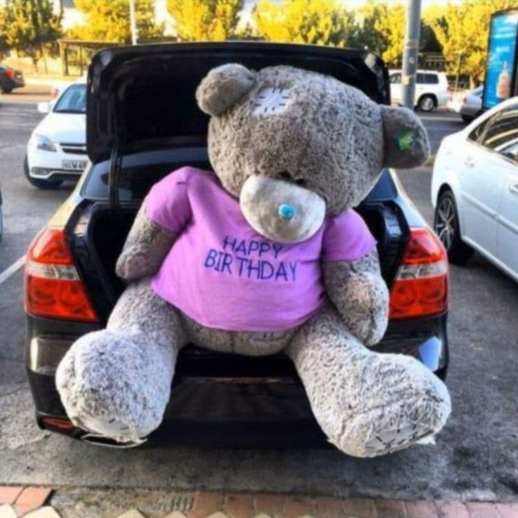 Teddi+Teddiy+Ayiq (30sm 3metr) — 7