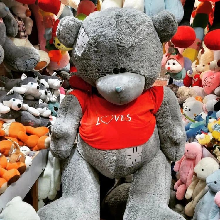 Teddy Teddi ™Teddiy ayiqchalar (50sm. 3metr) — 2