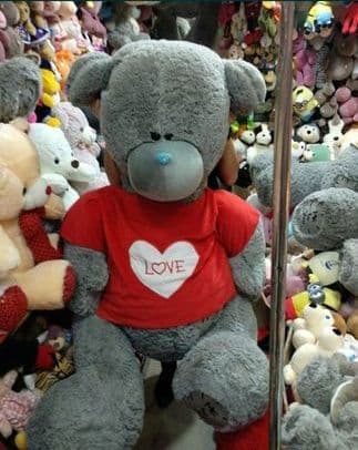 Teddy Teddi ™Teddiy ayiqchalar (50sm. 3metr) — 4
