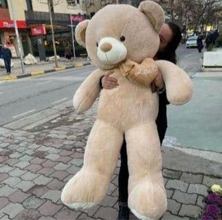 Teddy Teddi ™Teddiy ayiqchalar (50sm. 3metr) — 5