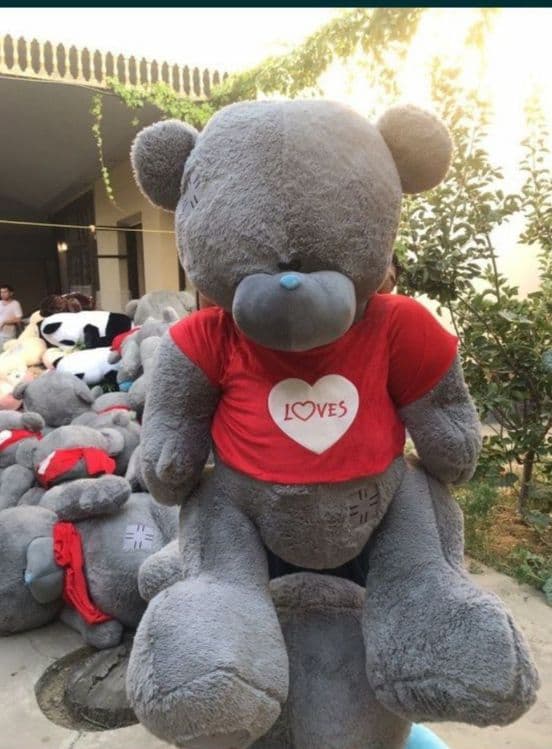 Teddy Teddi ™Teddiy ayiqchalar (50sm. 3metr) — 6