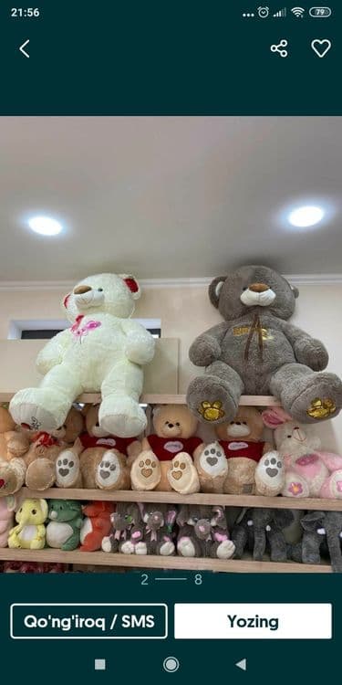 Teddi Tedi Teddiy — 2