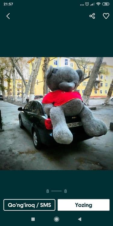 Teddi Tedi Teddiy — 4