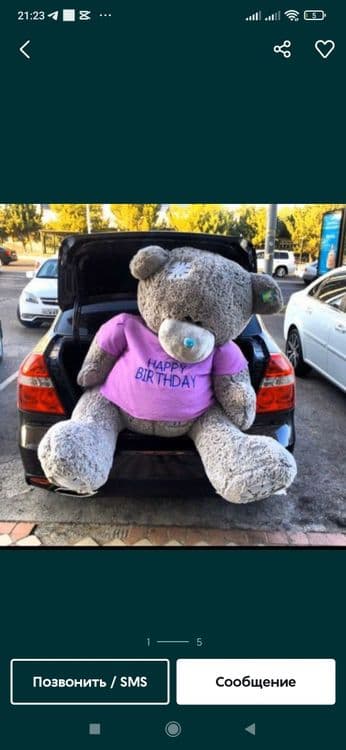 "TEDDY" arzon narxlarda — 6