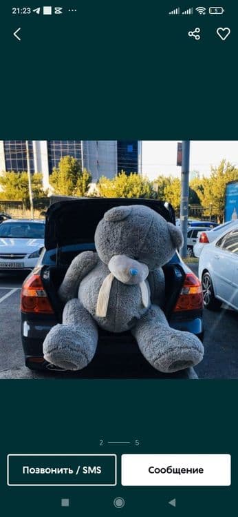 "TEDDY" arzon narxlarda — 7