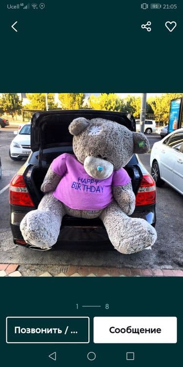 Teddy teddi ayiq — 1