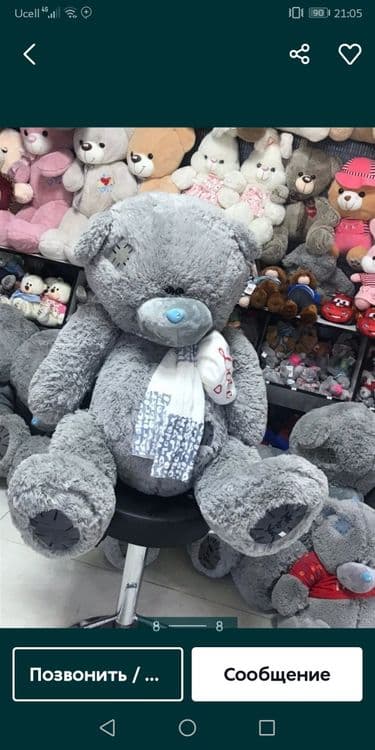 Teddy teddi ayiq — 2