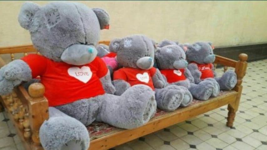 Teddy ayq myahkiy Сидушка Sidushka myaxkiy igrushka slon teddy 40sm 3m — 8