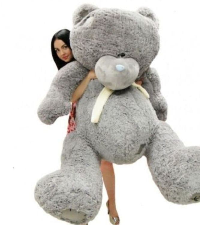 Teddy teddi original xitoy 1m 3m — 2