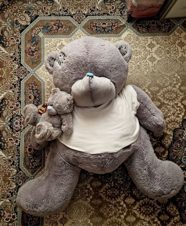 Bonusiga yana ayiq qoʻshib beriladi — 2