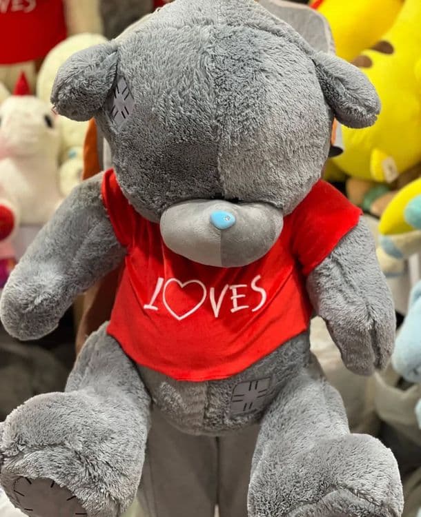 Teddy Teddi 75,80,90,120,150,170 Sotuvda — 1