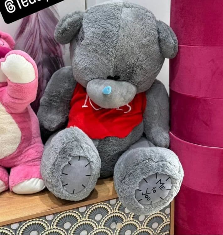 Teddy Teddi 75,80,90,120,150,170 Sotuvda — 2