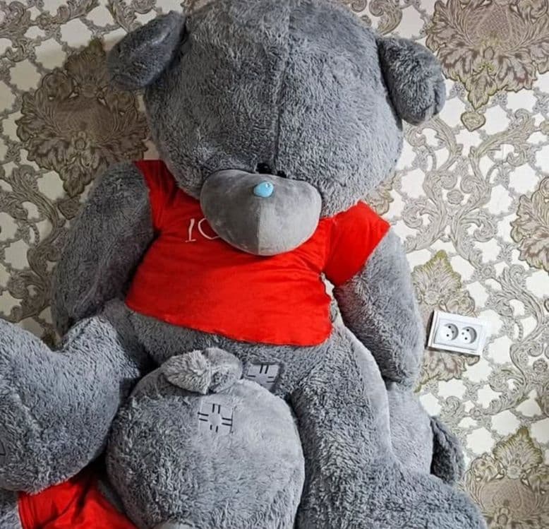 Teddy Teddi 75,80,90,120,150,170 Sotuvda — 3