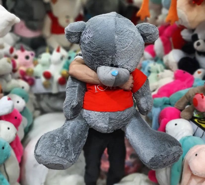 Teddy Teddi 75,80,90,120,150,170 Sotuvda — 4