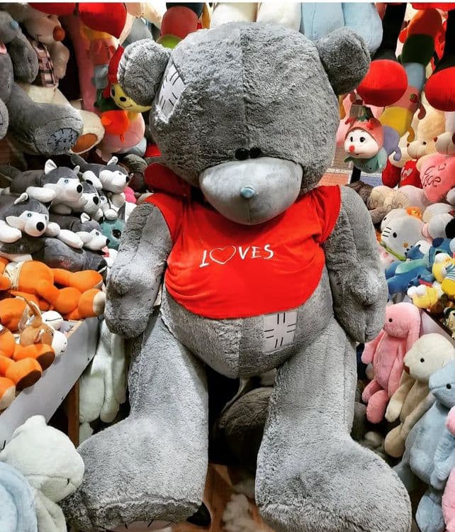 Teddy Teddi 75,80,90,120,150,170 Sotuvda — 5