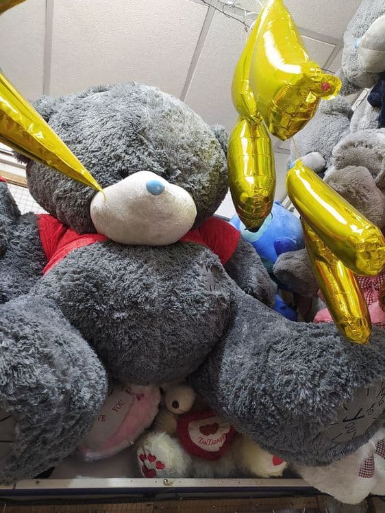 Teddy 1yarim metirlisi — 1