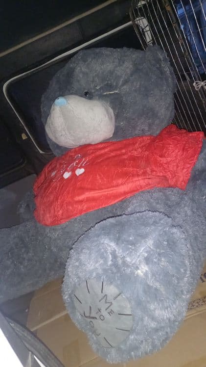 Teddy 1yarim metirlisi — 2