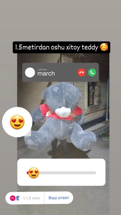 Teddy 1yarim metirlisi — 3