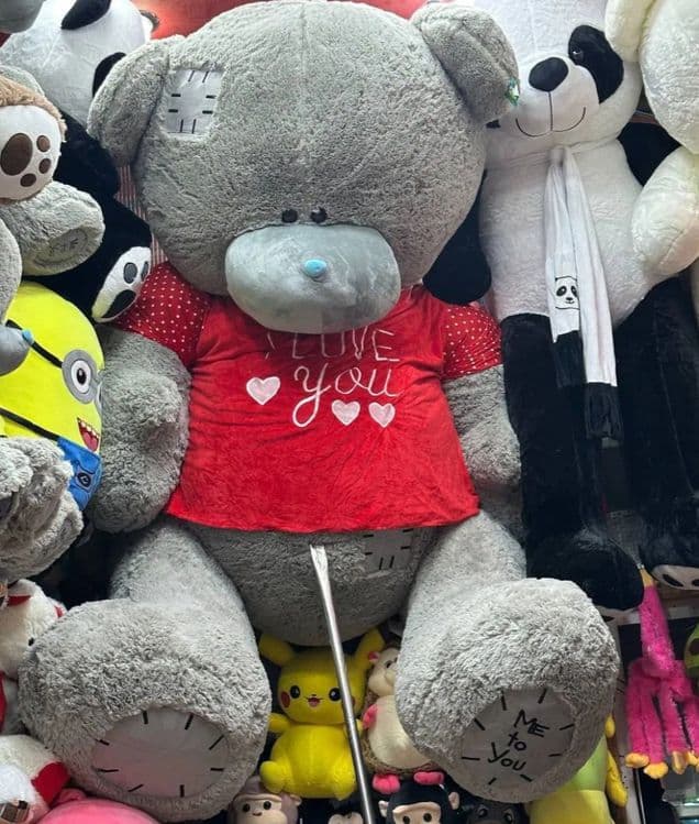 Teddy Stich Lyutsafer — 2
