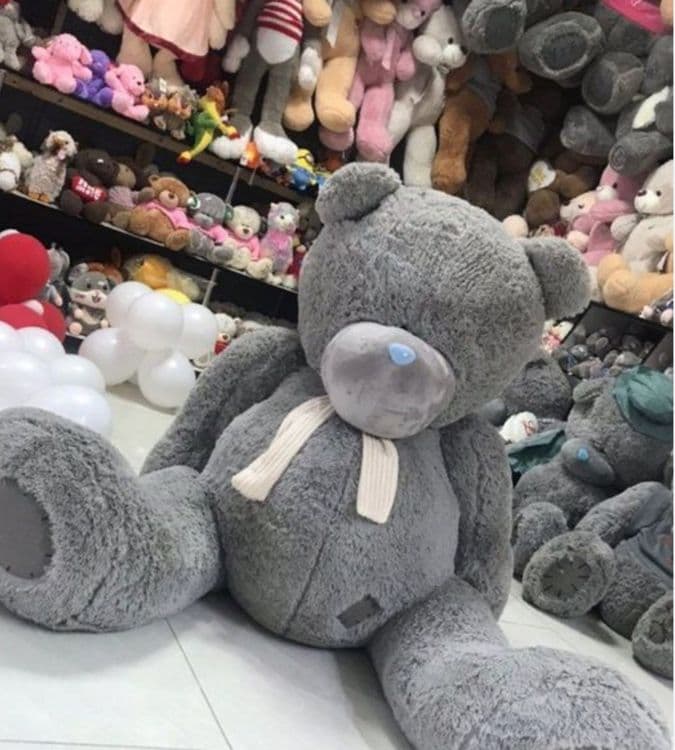 Teddy Stich Lyutsafer — 3