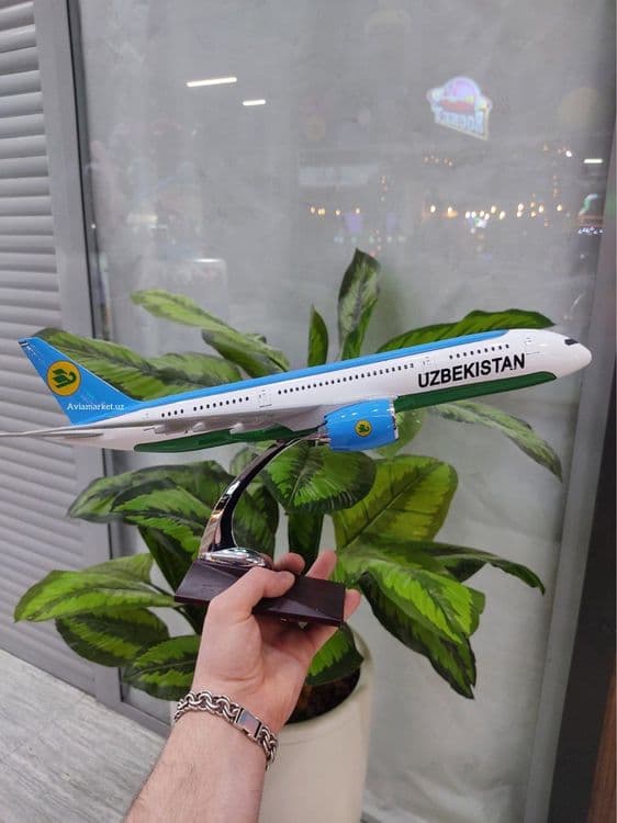 Самолет Boeing 787-8 Dream Liner Uzbekistan Airways отличный подарок — 6